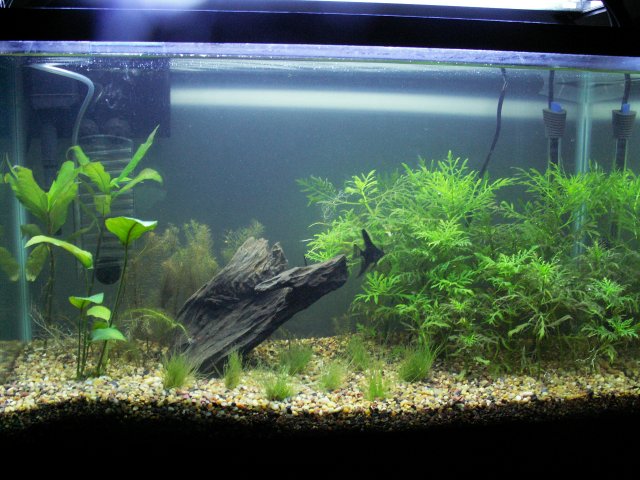 PICT0035.JPG