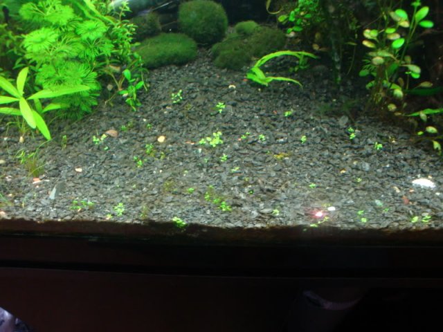 DSC00992.jpg