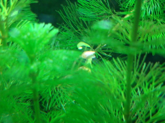 DSC01009.jpg DSC01009.jpg