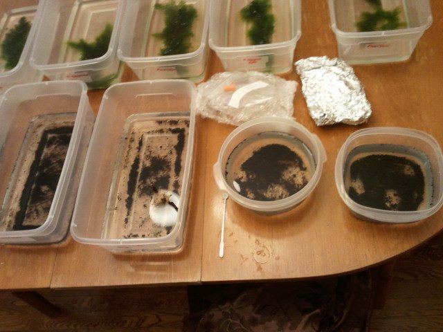 2011-08-06 09.12.09.jpg