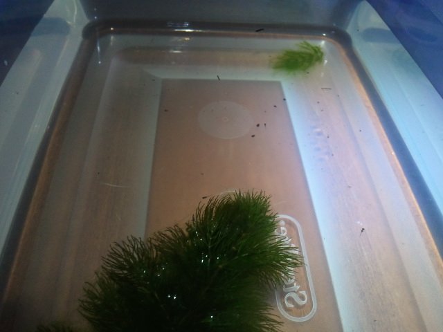 2011-08-06 18.24.59.jpg