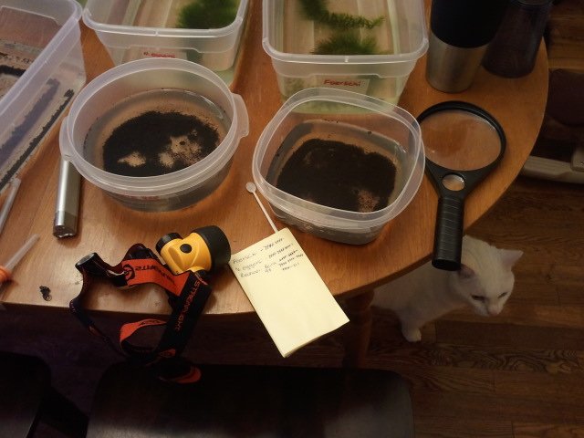 2011-08-06 20.23.26.jpg