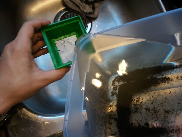2011-08-08 19.45.35.jpg