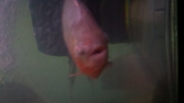 2011-08-08_23-22-18_938.jpg