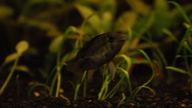 09-08-2011 200.JPG