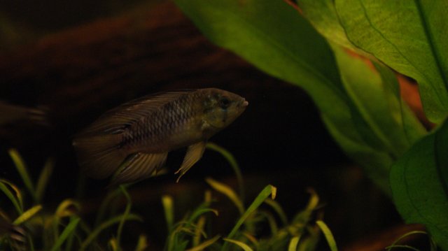 09-08-2011 191.JPG