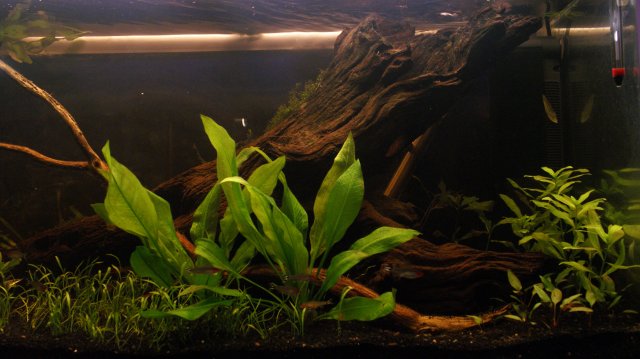 09-08-2011 183.JPG