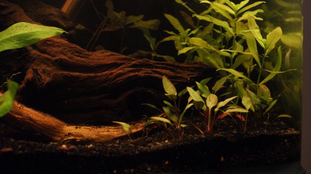 09-08-2011 177.JPG