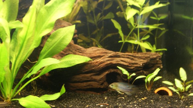 09-08-2011 135.JPG