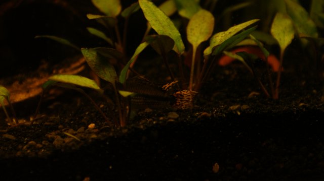 09-08-2011 149.JPG