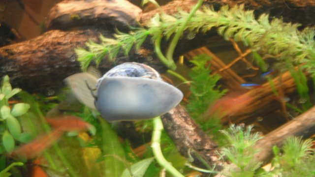 DSCF0869.JPG