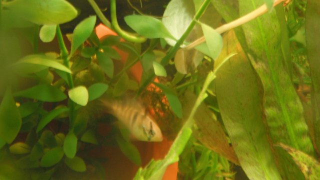 DSCF0844.JPG