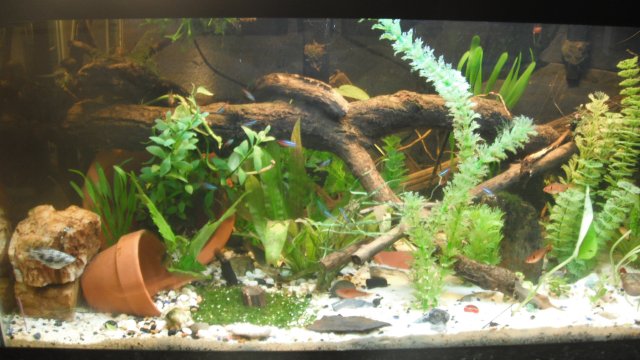 DSCF0861.JPG