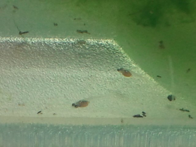2011-08-10 22.12.53.jpg