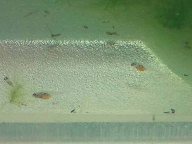 2011-08-10 22.13.09.jpg