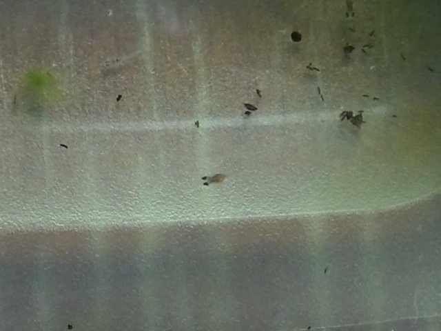 2011-08-10 22.11.32.jpg