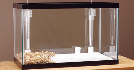 Undergravel Filter.jpg Undergravel Filter.jpg