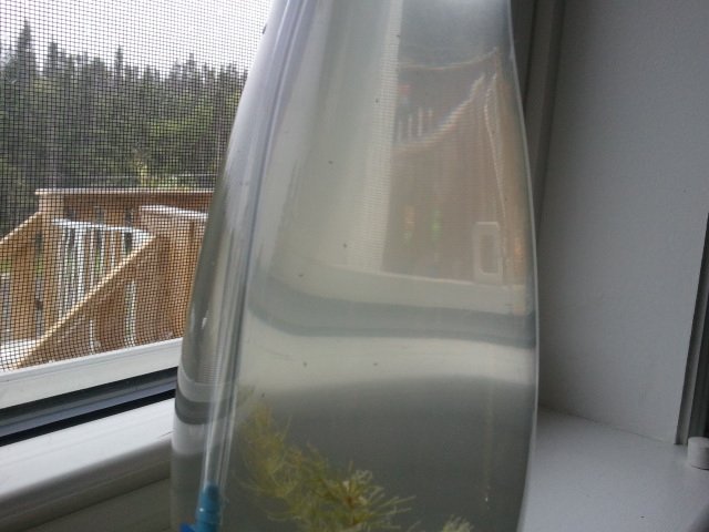 2011-08-11 16.00.54.jpg