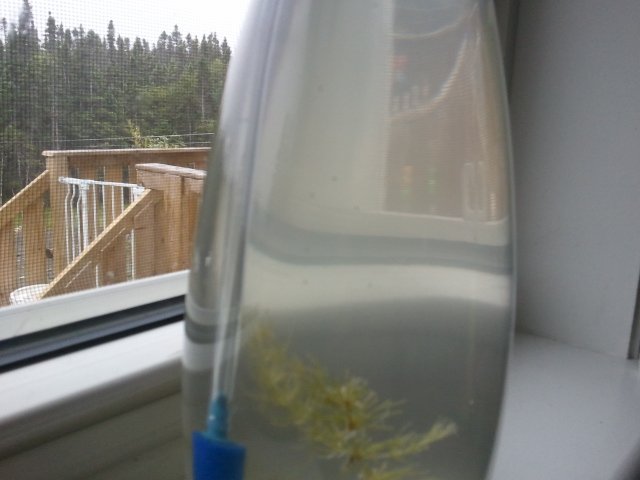 2011-08-11 16.00.40.jpg