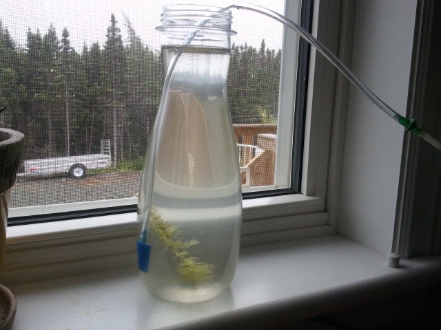 2011-08-11 16.00.15.jpg