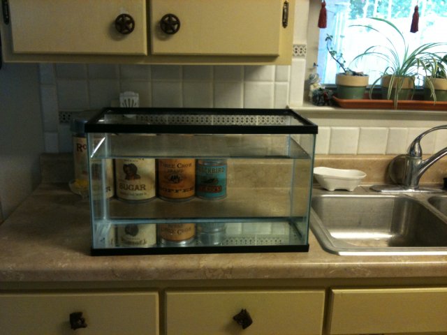 New shrimp tank empty.JPG New shrimp tank empty.JPG