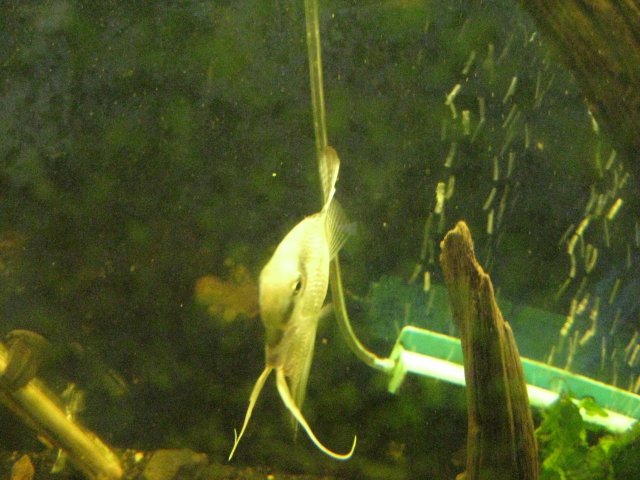 IMG_0008.JPG
