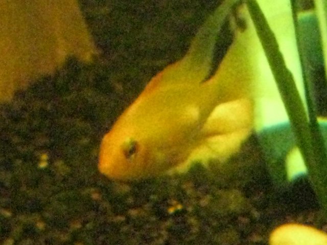 IMG_0013.JPG