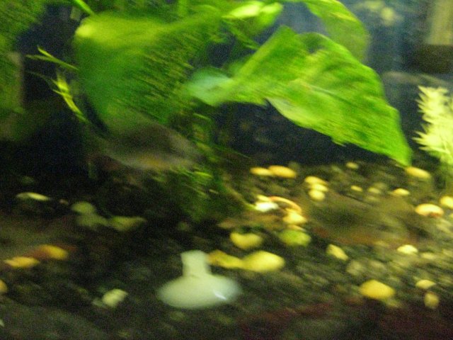 IMG_0026.JPG