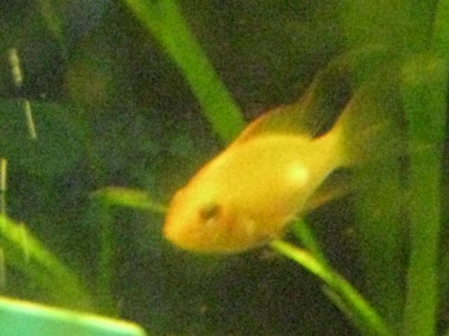 IMG_0016.JPG