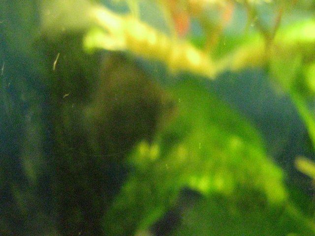 IMG_0022.JPG