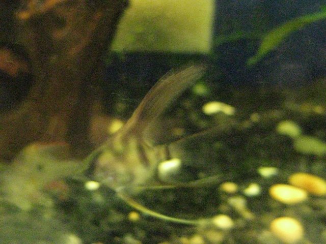 IMG_0023.JPG