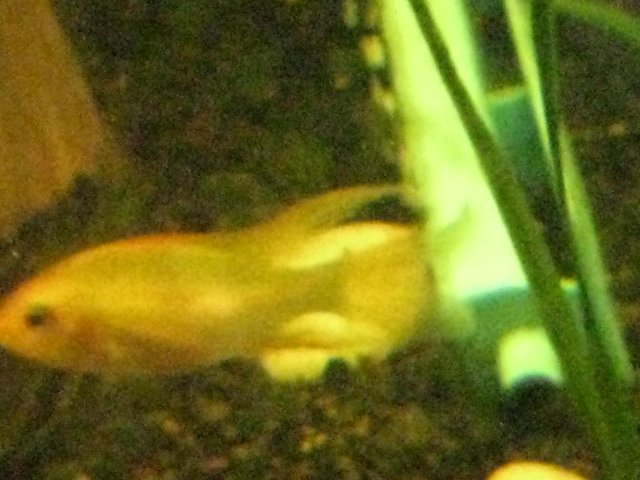 IMG_0014.JPG