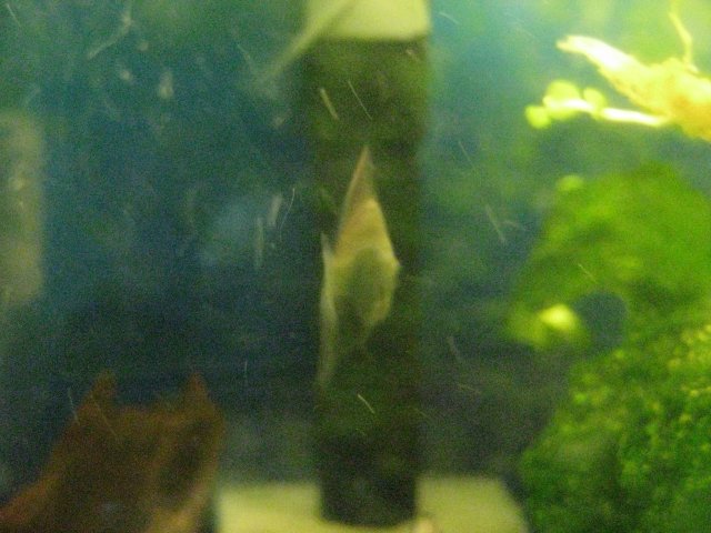 IMG_0021.JPG