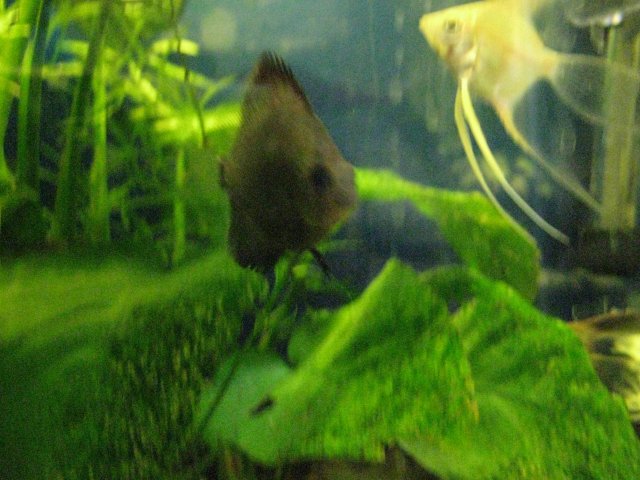 IMG_0027.JPG