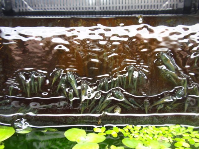 P8212380.JPG