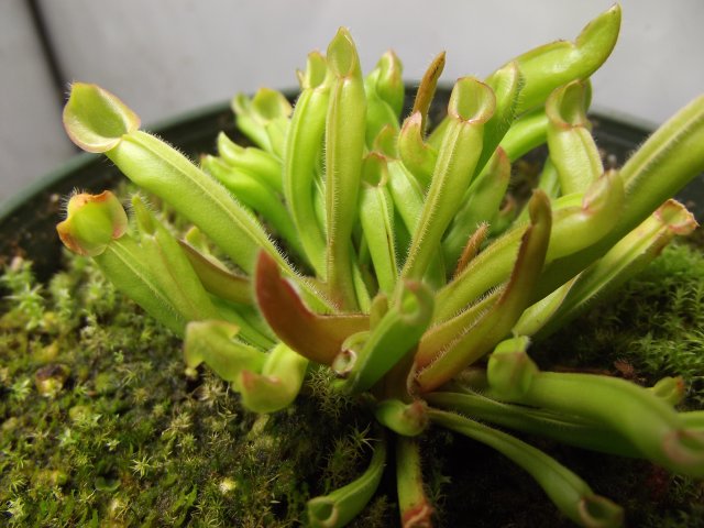 DSCF1448.JPG
