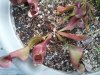 2011-08-22 18.04.15.jpg