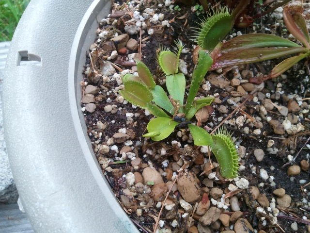 2011-08-22 18.05.06.jpg