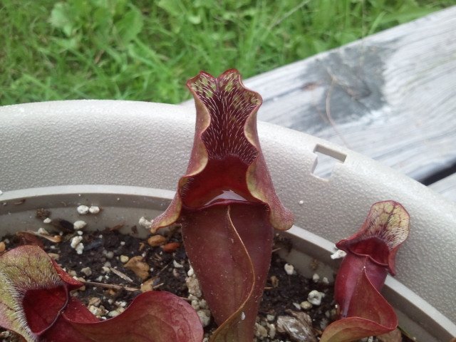 2011-08-22 18.04.40.jpg