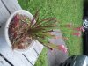 2011-08-22 18.03.57.jpg