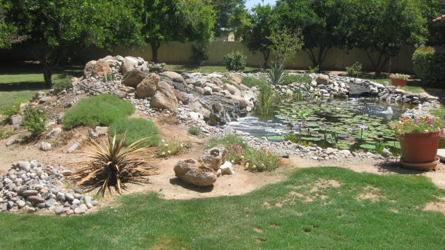 Pond 4.JPG