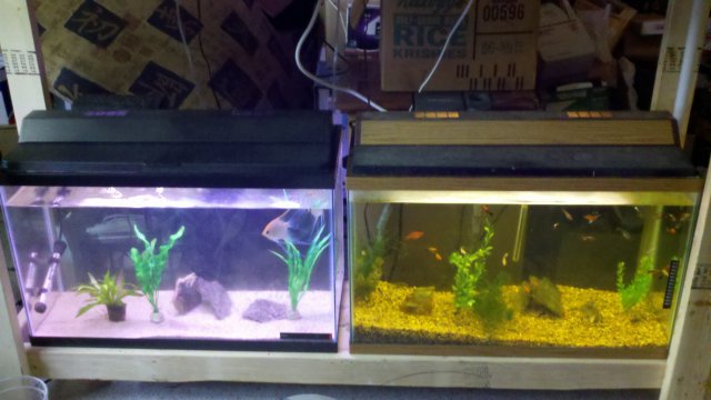 2011-08-23_22-44-02_832.jpg