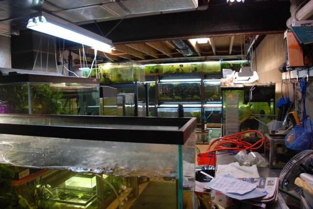 fishroom back view from panel.jpg