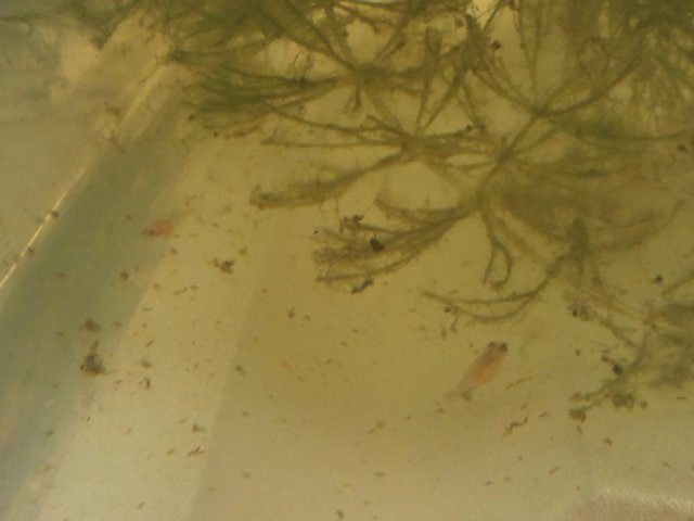 2011-08-25 20.00.01.jpg
