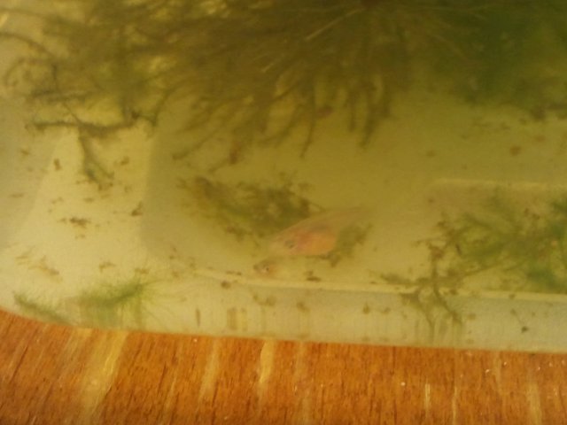 2011-08-25 19.59.04.jpg