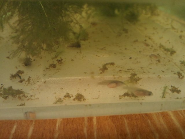 2011-08-25 20.02.39.jpg