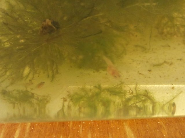 2011-08-25 19.58.40.jpg
