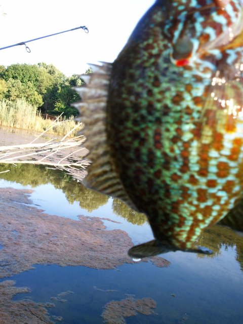 WP_000196.jpg