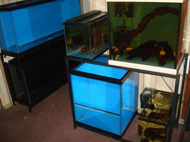 02.JPG