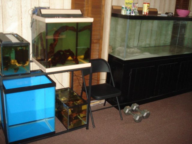 03.JPG